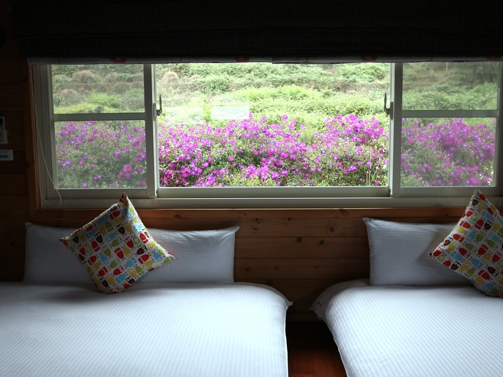 203｜和風四人房（此房型無獨立觀景陽台） - 房型照片